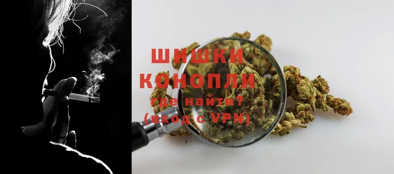 купить наркотики сайты  Павловский Посад  Канабис Ganja 